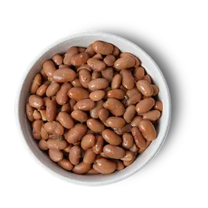 Guzman y Gomez Pinto Beans